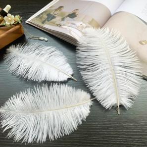 10-80cm ostrich feather fine and thick rods for wholesale decorative lighting and wedding ornaments  DIY decorative items featuring white feathers.